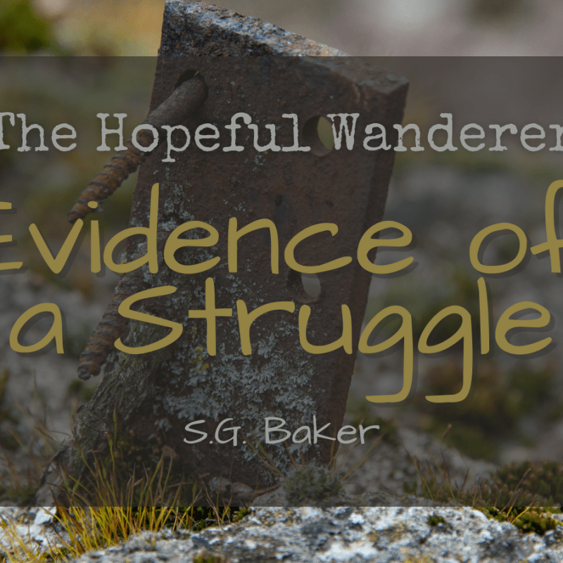 The Hopeful Wanderer — Evidence of a&nbsp;Struggle