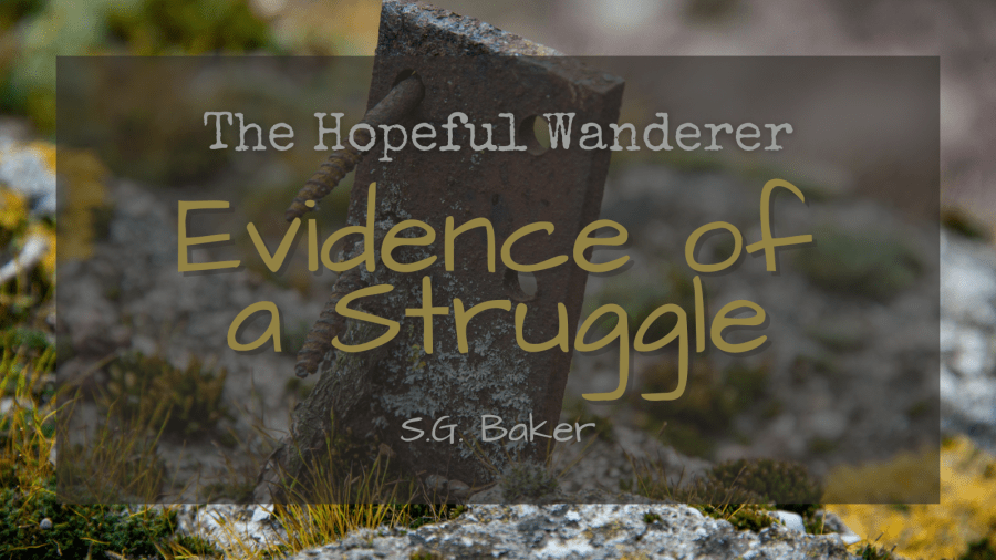 Text that reads: "The Hopeful Wanderer; Evidence of a Struggle; S.G. Baker" over a background depicting a rusty door hinge propped up on mossy gray stone.